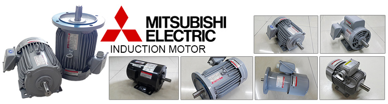 มอเตอร์ไฟฟ้ากระแสสลับ Mitsubishi